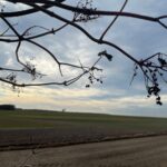 19.12.2021. Zakrzów w gminie Secemin. Miejsce walki z września 1944 r. / Dionizy Krawczyński / Radio Kielce