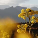 Gran Canaria / Sławomir Buga