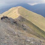 Gruzja. Kaukaz / Sławomir Buga