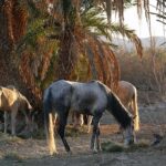 Maroko / Sławomir Buga