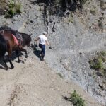 Albania / Sławomir Buga