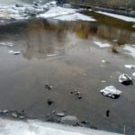 22.01.2022. Starachowice. Usuwanie zatoru z lodu na tamie rzeki Kamiennej / Społeczna Straż Rybacka