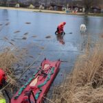 31.01.2022. Pińczów. Strażacy ratują psa / Komenda Powiatowa Państwowej Straży Pożarnej w Pińczowie