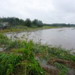 06.08.2021. Solec-Zdrój. Ulewne deszcze zalały ulice i pola / Marta Gajda / Radio Kielce