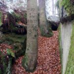 „Piekło Dalejowskie” / Zbigniew Wójcik / Fotografia Amatorska