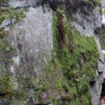 „Piekło Dalejowskie” / Zbigniew Wójcik / Fotografia Amatorska