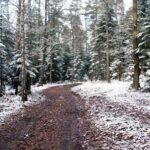 „Piekło Dalejowskie” / Zbigniew Wójcik / Fotografia Amatorska