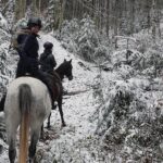 Rumunia / Sławomir Buga