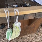 29.01.2022. Bodzentyn. Obrączkowanie ptaków w ramach akcji „Karmnik" / Anna Głąb / Radio Kielce