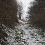 21.01.2022. Młodzawy. Wąwóz / Jarosław Kubalski / Radio Kielce