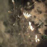 01.01.2022. Iwaniska. Odzyskanie praw miejskich / Anna Głąb / Radio Kielce