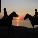 Orzechowo / Sławomir Buga