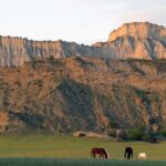 Gruzja. Waszlowani / Sławomir Buga