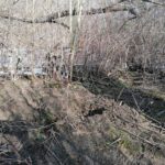 26.02.2021. Wełnin. Miejsce, gdzie znaleziono ciało noworodka / Marta Gajda / Radio Kielce