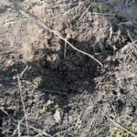 26.02.2021. Wełnin. Miejsce, gdzie znaleziono ciało noworodka / Marta Gajda / Radio Kielce