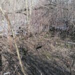 26.02.2021. Wełnin. Miejsce, gdzie znaleziono ciało noworodka / Marta Gajda / Radio Kielce