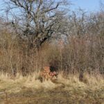 26.02.2021. Wełnin. Miejsce, gdzie znaleziono ciało noworodka / Marta Gajda / Radio Kielce