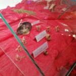 08.01.2022. Wystawa szopek bożonarodzeniowych w Domu Ariańskim w Pińczowie / Marta Gajda-Kruk / Radio Kielce