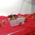 08.01.2022. Wystawa szopek bożonarodzeniowych w Domu Ariańskim w Pińczowie / Marta Gajda-Kruk / Radio Kielce