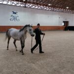 15.01.2022. Michałów. Zimowa Aukcja Koni Arabskich Czystej Krwi / Stadnina Koni Michałów