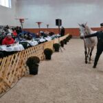 15.01.2022. Michałów. Zimowa Aukcja Koni Arabskich Czystej Krwi / Stadnina Koni Michałów