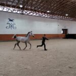 15.01.2022. Michałów. Zimowa Aukcja Koni Arabskich Czystej Krwi / Stadnina Koni Michałów