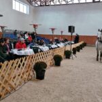 15.01.2022. Michałów. Zimowa Aukcja Koni Arabskich Czystej Krwi / Stadnina Koni Michałów