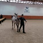 15.01.2022. Michałów. Zimowa Aukcja Koni Arabskich Czystej Krwi / Stadnina Koni Michałów