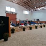 15.01.2022. Michałów. Zimowa Aukcja Koni Arabskich Czystej Krwi / Stadnina Koni Michałów