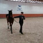 15.01.2022. Michałów. Zimowa Aukcja Koni Arabskich Czystej Krwi / Stadnina Koni Michałów