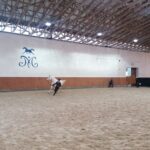 15.01.2022. Michałów. Zimowa Aukcja Koni Arabskich Czystej Krwi / Stadnina Koni Michałów