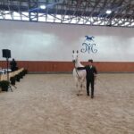 15.01.2022. Michałów. Zimowa Aukcja Koni Arabskich Czystej Krwi / Stadnina Koni Michałów