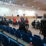 15.01.2022. Michałów. Zimowa Aukcja Koni Arabskich Czystej Krwi / Stadnina Koni Michałów