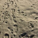 21.01.2022. Kielce. Zimowa aura / Jarosław Kubalski / Radio Kielce