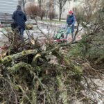 26.01.2022. Kielce. Wycinka drzew na kieleckim osiedlu KSM / Jarosław Kubalski / Radio Kielce