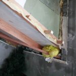 17.01.2022. Borszowice. Dom państwa Dzwonków / Wiktor Taszłow / Radio Kielce