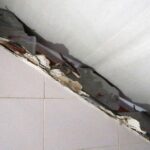 17.01.2022. Borszowice. Dom państwa Dzwonków / Wiktor Taszłow / Radio Kielce