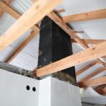 17.01.2022. Borszowice. Dom państwa Dzwonków / Wiktor Taszłow / Radio Kielce