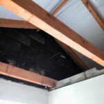 17.01.2022. Borszowice. Dom państwa Dzwonków / Wiktor Taszłow / Radio Kielce