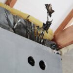 17.01.2022. Borszowice. Dom państwa Dzwonków / Wiktor Taszłow / Radio Kielce