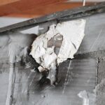 17.01.2022. Borszowice. Dom państwa Dzwonków / Wiktor Taszłow / Radio Kielce