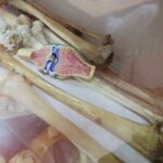 14.01.2022. Kielce. "Noc Biologów" na Uniwersytecie Jana Kochanowskiego / Wiktor Taszłow / RadioKielce