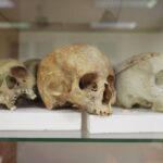 14.01.2022. Kielce. "Noc Biologów" na Uniwersytecie Jana Kochanowskiego / Wiktor Taszłow / RadioKielce