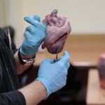 14.01.2022. Kielce. "Noc Biologów" na Uniwersytecie Jana Kochanowskiego / Wiktor Taszłow / RadioKielce