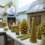 14.01.2022. Kielce. "Noc Biologów" na Uniwersytecie Jana Kochanowskiego / Wiktor Taszłow / RadioKielce