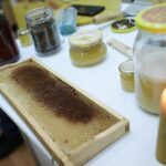 14.01.2022. Kielce. "Noc Biologów" na Uniwersytecie Jana Kochanowskiego / Wiktor Taszłow / RadioKielce