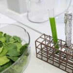 14.01.2022. Kielce. "Noc Biologów" na Uniwersytecie Jana Kochanowskiego / Wiktor Taszłow / RadioKielce