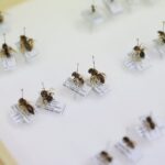 14.01.2022. Kielce. "Noc Biologów" na Uniwersytecie Jana Kochanowskiego / Wiktor Taszłow / RadioKielce