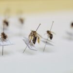 14.01.2022. Kielce. "Noc Biologów" na Uniwersytecie Jana Kochanowskiego / Wiktor Taszłow / RadioKielce