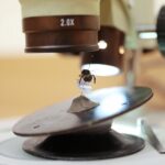 14.01.2022. Kielce. "Noc Biologów" na Uniwersytecie Jana Kochanowskiego / Wiktor Taszłow / RadioKielce